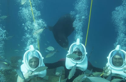 Sea trek Los Cabos.jpg