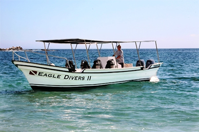 Diving Cabo San Lucas.jpg